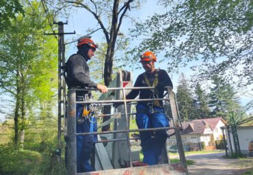 toaletare arbori cu spider alpin