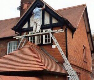 spideralpin-supravietuitori